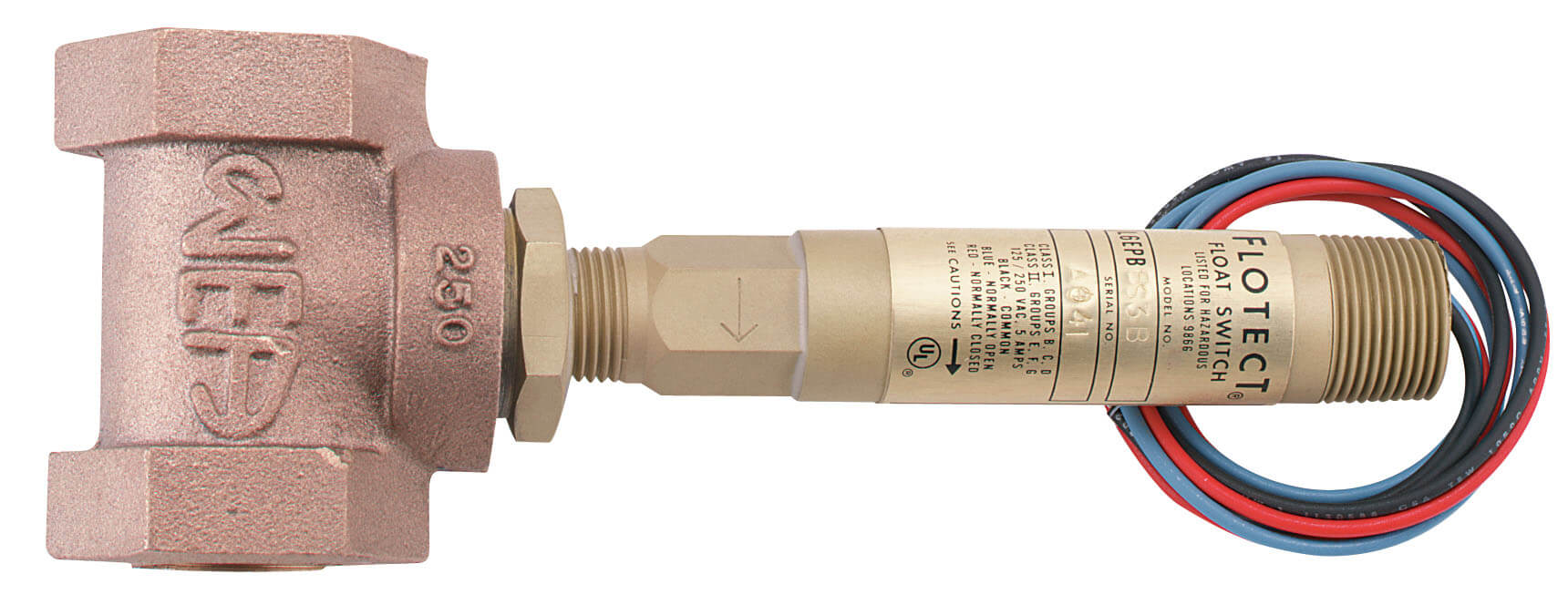 DWYER L6系列  FLOTECT? 液位開關 易嵌壁或外部安裝，達到2000psig（138bar）